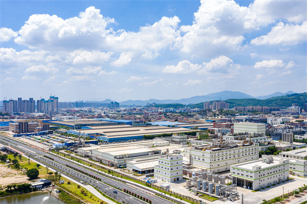 漳州企業(yè)如何借助管理咨詢實現高效轉型？