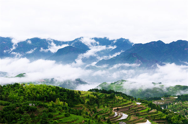 溫州供應(yīng)鏈咨詢(xún)公司如何優(yōu)化企業(yè)供應(yīng)鏈流程？