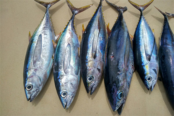 商務(wù)部：將幫助外貿(mào)企業(yè)擴(kuò)寬內(nèi)銷渠道，政策解讀！