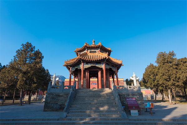 借鄭州薪酬咨詢公司定制方案落地，企業吸引頂尖人才的優勢怎會弱？