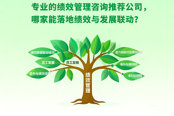 專業(yè)的績效管理咨詢推薦公司，哪家能落地績效與發(fā)展聯(lián)動？